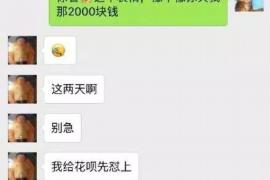 嘉陵讨债公司